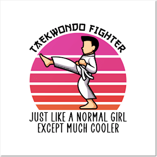 taekwondo fighter except much cooler Posters and Art